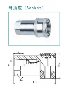 母体.png
